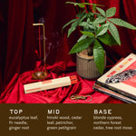 Blonde Hinoki– HI-FI Incense Sticks