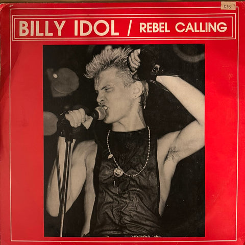 Idol, Billy "Rebel Calling"