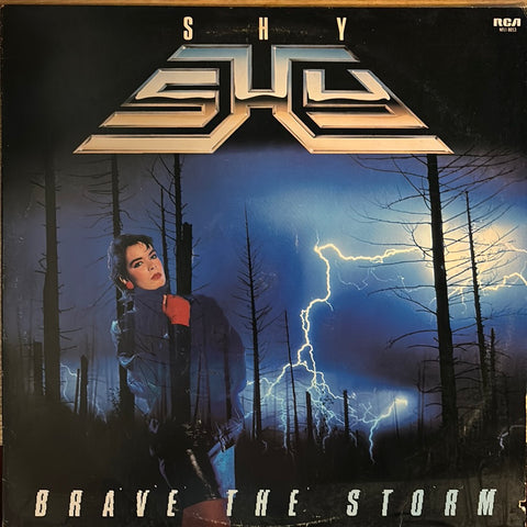 Shy "Brave The Storm"