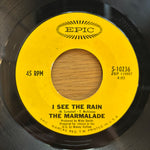 Marmalade, The "I See The Rain"
