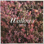 Wallows "Spring"