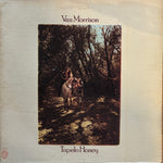 Morrison, Van "Tupelo Honey"