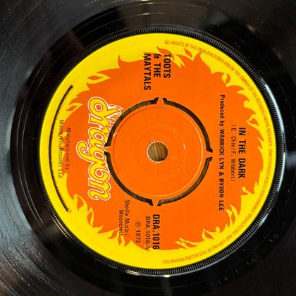 Toots & The Maytals "In The Dark"