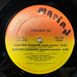 Twitlight 22 "Electric Kingdom"
