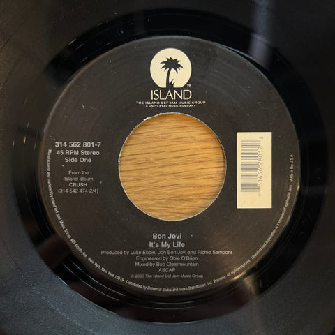 Bon Jovi "It's My Life"