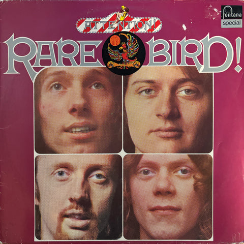 Rare Bird "Attention!"