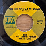 Thirteenth Floor Elevators "You're Gonna Miss Me"