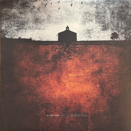 As Cities Burn "Son, I Loved You At Your Darkest"
