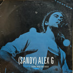 Sandy (Alex G) "Live At Third Man Records"