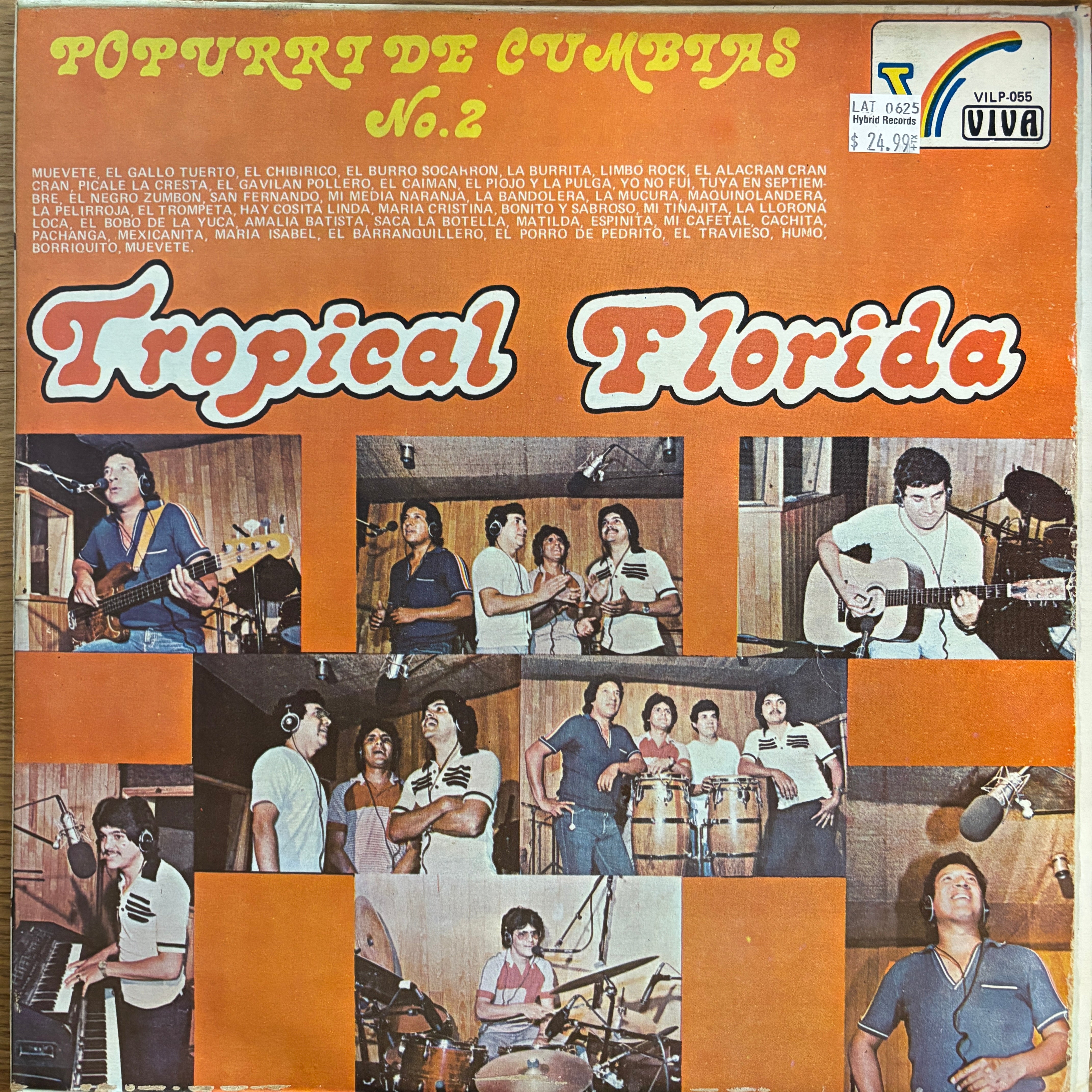 Tropical Florida 