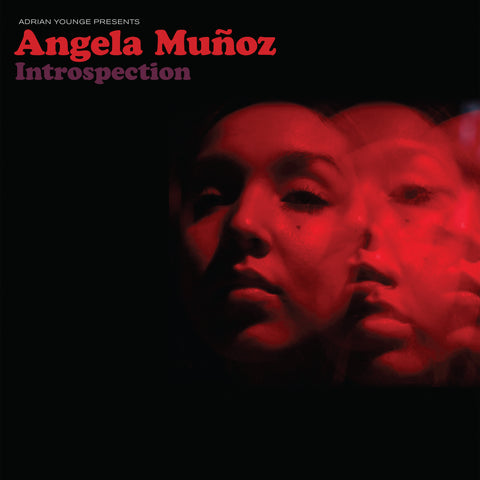 Muñoz, Angela & Adrian Younge "Introspection"