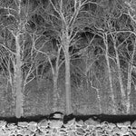 Pile "Sunshine and Balance Beams (Colored Vinyl)"