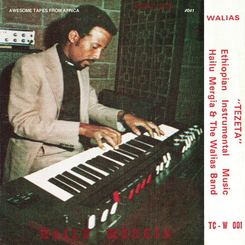 Hailu Mergia & The Walias "Tezeta"