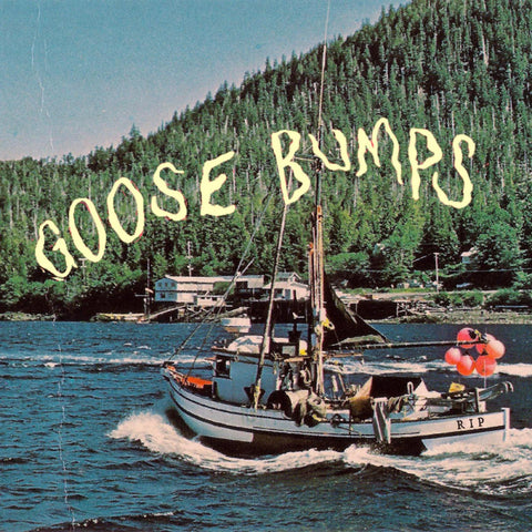 Boyscott "Goose Bumps (Colored Vinyl)"