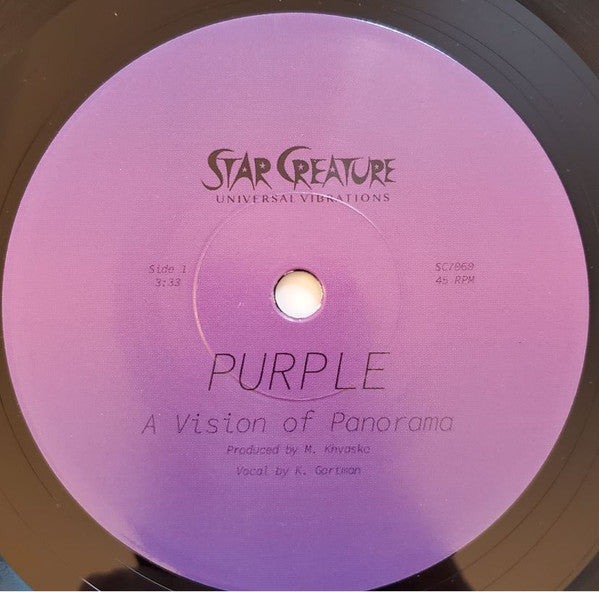 A Vision of Panorama / Purple A Vision of Panorama / Purple